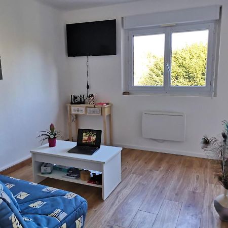 Le Mabileau Appartement Saumur Buitenkant foto